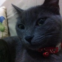 ahmet kaan gencturk (@darkline55) 's Twitter Profile