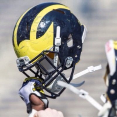 letgoblue's profile picture. 