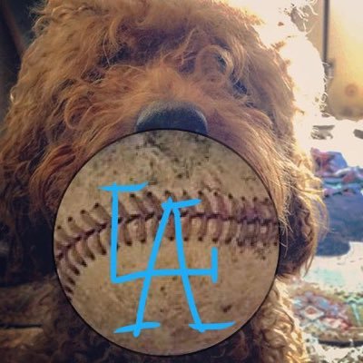 dodgerdudel Profile Picture