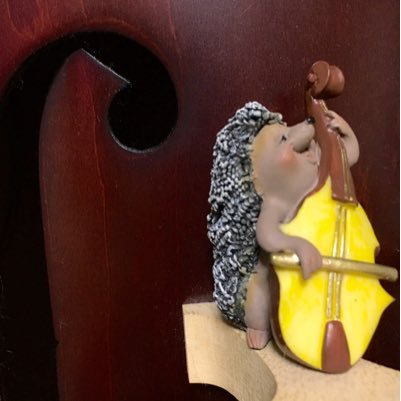 Rchancattle's profile picture. 😊