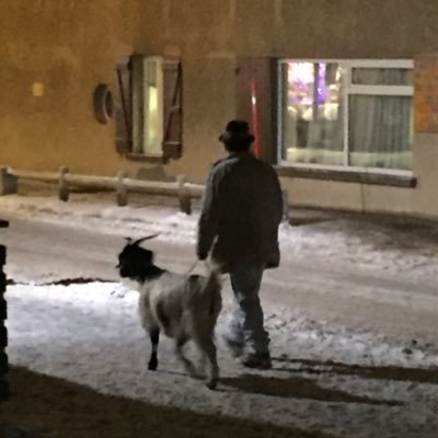 Lagotto Romagnolo enthusiast