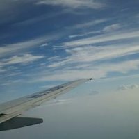 チミー (@kappi79) 's Twitter Profile