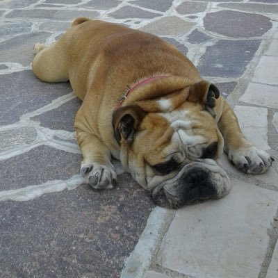 Aniello14425052's profile picture. 