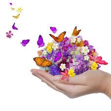Reiki treatments, Custom made aromatherapy for health, well being and beauty, Face&Body lotions & potions. book now