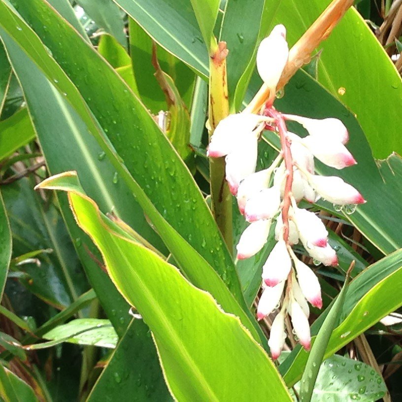 tech3114's profile picture. 退職金を元手に株式投資を始めました。株面白いです。IPO、優待銘柄中心に手堅い投資をこころがけます。初心者なのでみなさんのつぶやきがとても参考になります。