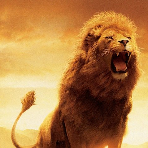 Hello Entrepreneurs! This Twitter Account will give you motivation and tips to get an ambition of a lion!
