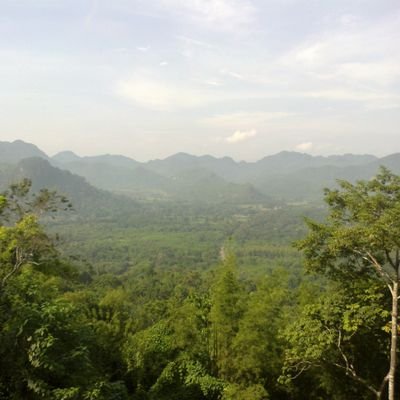 bobokittypanda's profile picture. Decipher my thoughts