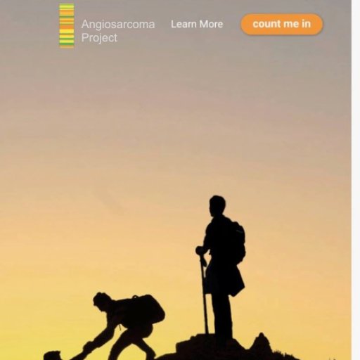 Angiosarcoma Project Profile