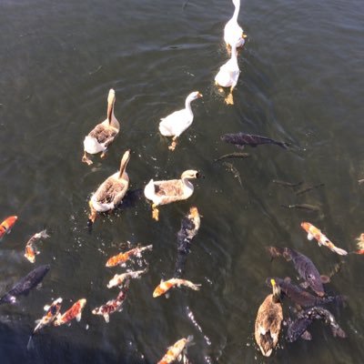 Ppp73693555Ppp's profile picture. 進撃の巨人中心 リツイート&フォロー多めになります