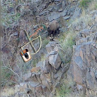 albwarde777's profile picture. عشق الطبيعة