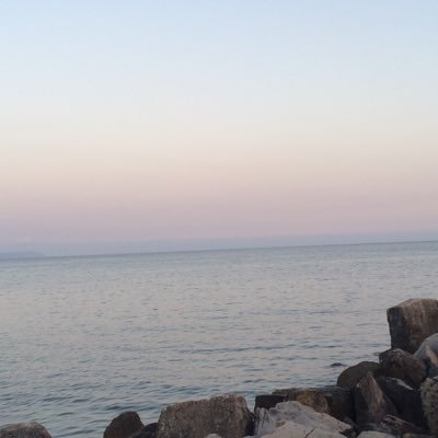 ElenaFranzese's profile picture. 