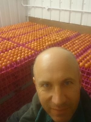 NigelEv53724500's profile picture. Poultry,  sheep farmer, 
studied property, 
buy to let investor