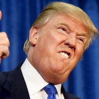 ThisDayInTrump (@todaystrump) 's Twitter Profile