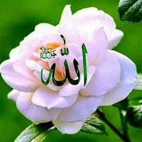 عاصم محمدنصر الرحيمي (@assmalrhyme) 's Twitter Profile