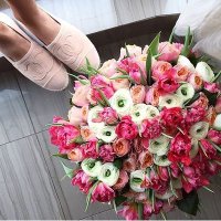 mithany12 (@mithany66) 's Twitter Profile