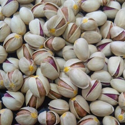 IranPistachio's profile picture. 