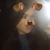 jade (@belovedagb) Twitter profile photo jade (@belovedagb) Twitter profile photo