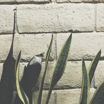 LMTD_INTRST's profile picture. Limited edition cassette releases.