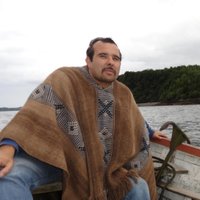 C. Gómez P (@clamargo) 's Twitter Profile Photo C. Gómez P (@clamargo) 's Twitter Profile Photo