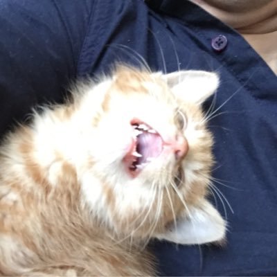 anzijing001's profile picture. 预备d员