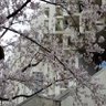 ParadiseKomaki's profile picture. 愛知県小牧市在住の善良な市民です。