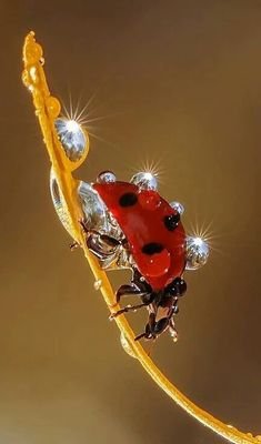 vivi77798's profile picture. 