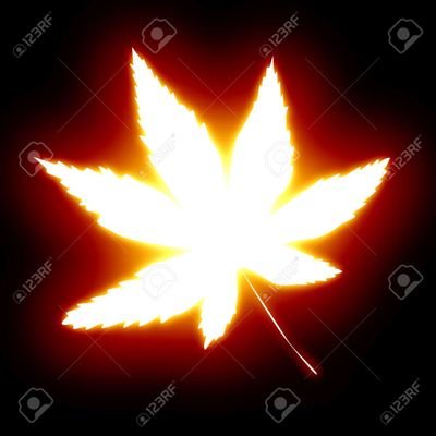 大麻ちゃん Uslt7pn3sbpvesn Twitter