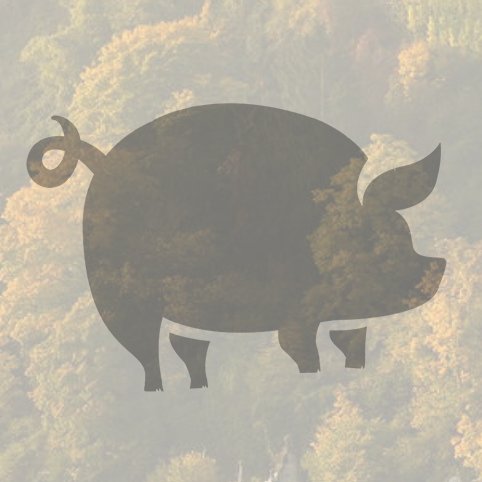 Nils_GFX's profile picture. -