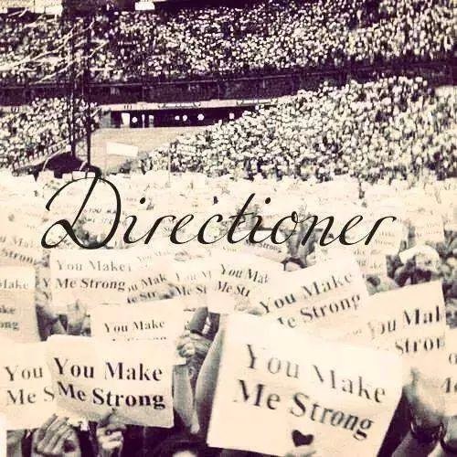 Hey! I'm a directioner since 2012 and my fav is Niall but I love all so much ♥ If you are a directioner of maybe a member of One Direction (I hope) follow me ;)