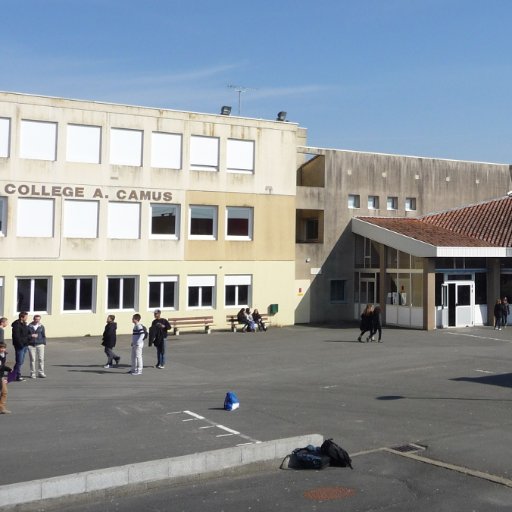 acamusnet's profile picture. 