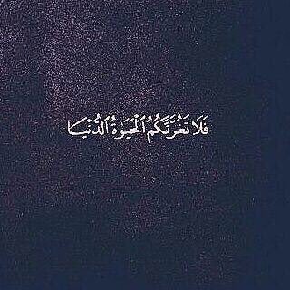 mohammed0199's profile picture. 