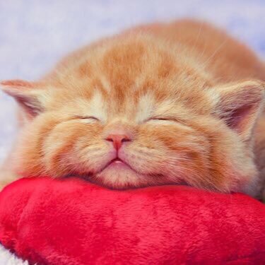 aakkee54's profile picture. 働く場所に囚われないようになりたい主婦。普通からの脱却を目指す！！趣味:メルカリ,折り紙★割と人生楽しんでます🫶✨ 年内YouTubeチャンネル登録者数1000人超え目標です💻🌟