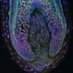 Higgins Lab (@higginsbioeng) Twitter profile photo Higgins Lab (@higginsbioeng) Twitter profile photo