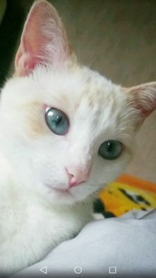 MerlineBoyard's profile picture. 📍