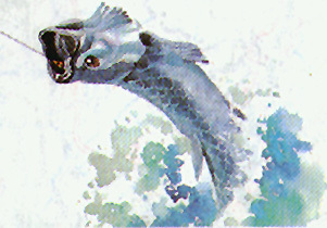 AlabamaVote's profile picture. Concerned Citizen of Alabama 6th District US Congress