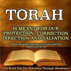 I am a grafted in Hebrew child of the Living God!  I am so thankful that by adoption my lineage and therefore my inheritance is no longer that of the Nations.