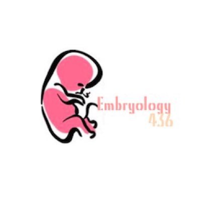 Embryology Team436 👶🏻💓 | College of medicine at King Saud University | Contact us at Embryology436@gmail.com #Med436 #Ksu