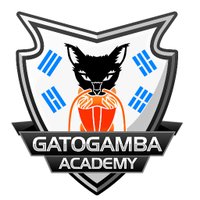 GatoGamba Academy (@gtg_academy) 's Twitter Profile