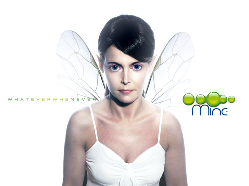 Ingeborg v d Eijk Profile