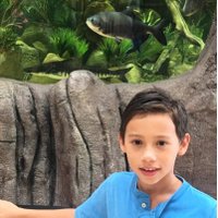 Néstor García (@nagap2007) 's Twitter Profile