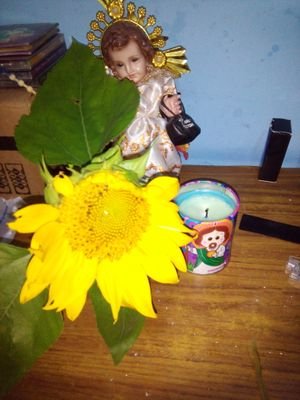 Estrell88137361's profile picture. Noticias Noticiero Entretenimiento Espectáculonoticias deveracruz y noticias desan andrestuxla