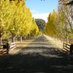 Visions of Napa (@visionsofnapa) Twitter profile photo Visions of Napa (@visionsofnapa) Twitter profile photo