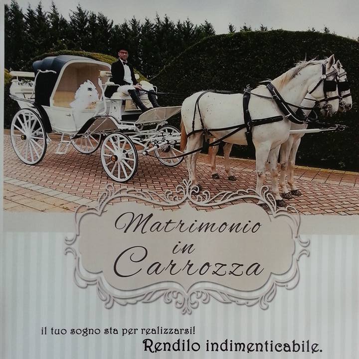 Matrimonio In Carrozza