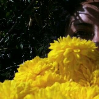 ecoMinutos's profile picture. Planta un ARBOL y creceran muchas VIDAS
Cuida el AGUA y protejeras tu VIDA