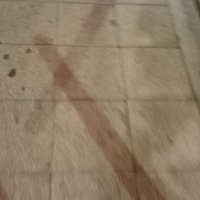 Carlos Hernando (@lucasbertone1) 's Twitter Profile Photo Carlos Hernando (@lucasbertone1) 's Twitter Profile Photo