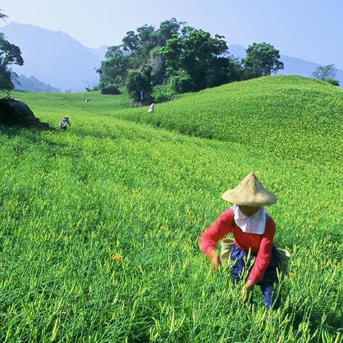 Steve____H's profile picture. Steve Hands is a copy editor with Taiwan Today.