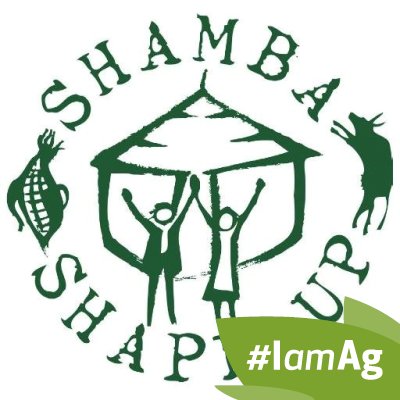 Shamba Shape Up