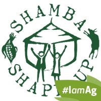 Shamba Shape Up(@shambashapeup) 's Twitter Profile Photo