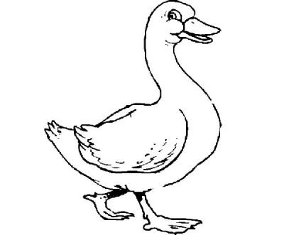 DuckLover99