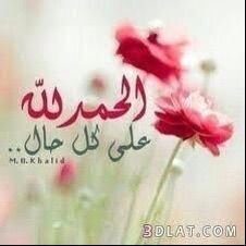 swcc3838's profile picture. 